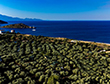 Thalassa Green - Agios Nikolaos Zakynthos Greece